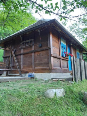 Eko imanje Sunce, Rudnik